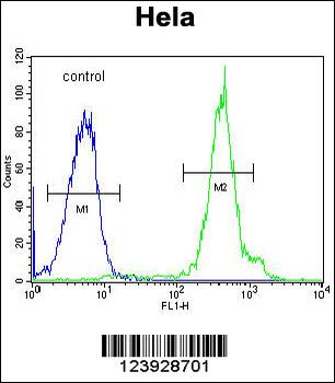 FUS Antibody (C-term)