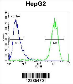 ATP5H Antibody (Center)