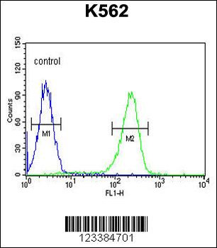 CXCR3 Antibody (Center)
