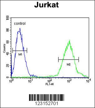 ACTB Antibody