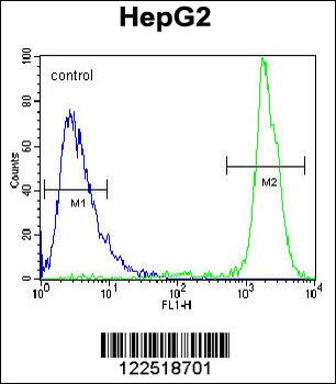 GPAM Antibody (Center)