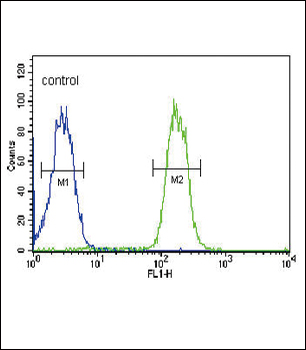 ABCC3 Antibody (Center)