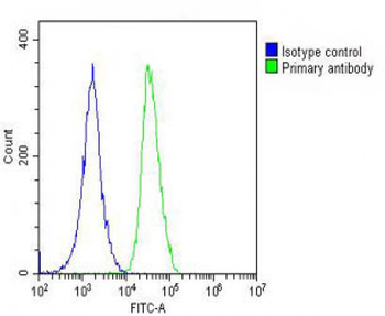 ANGPT2 Antibody (C-term)