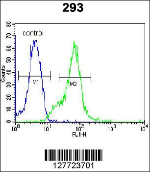 LGALS9B Antibody (Center)