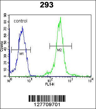 ATXN7L3B Antibody (Center)