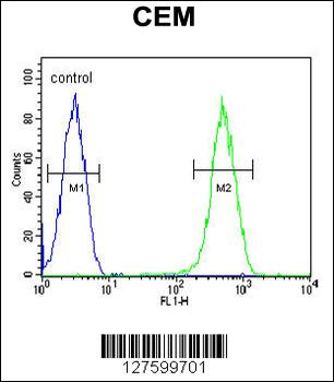CRCT1 Antibody (N-term)