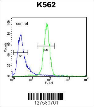 C6orf58 Antibody (Center)