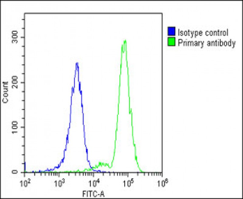 POTEE Antibody (Center)