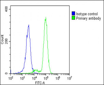 POTEE Antibody (Center)