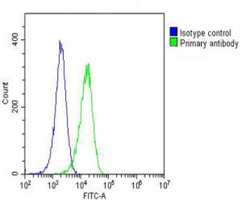 EGFR Antibody