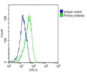 RAB23 Antibody