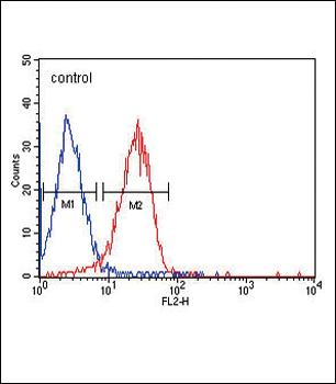 ITA6 Antibody