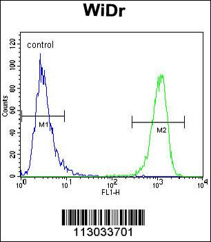 MUC20 Antibody (C-term)