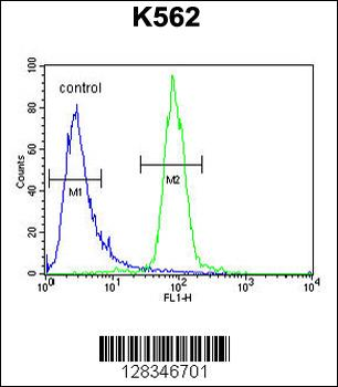 RPEL1 Antibody (C-term)