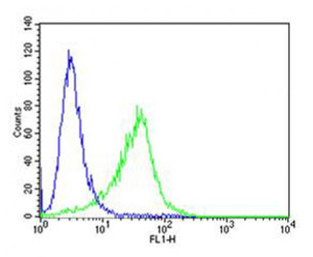 ROR1 Antibody