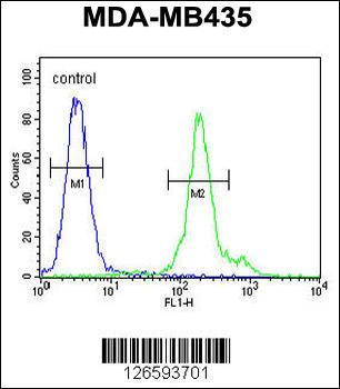 FBXL14 Antibody (C-term)