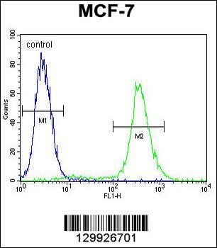 C20orf201 Antibody (C-term)