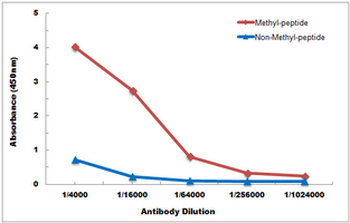 Histone H4 (MonoMethyl-R3) Antibody