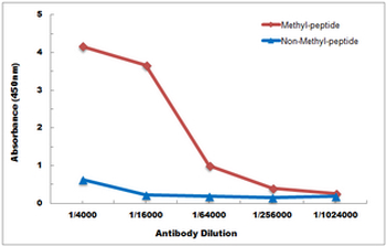 Histone H4 (DiMethyl-K20) Antibody