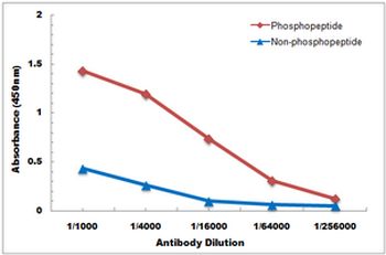 OTUB1 (pS187) Antibody