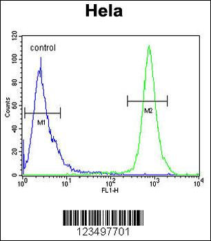 TRAPPC3 Antibody (N-term)