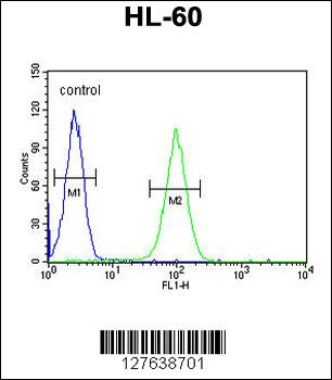 LNPEP Antibody (N-Term)
