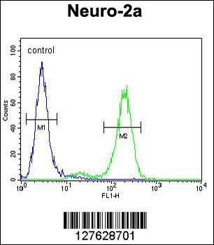 DDX11 Antibody (Center)