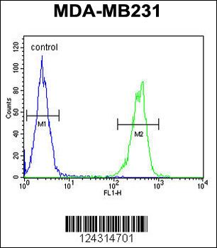 CYP2A7 Antibody (Center)