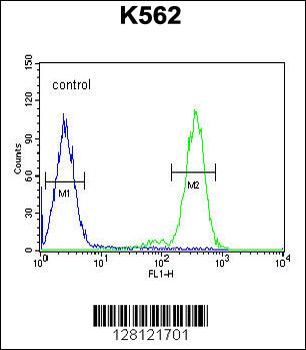 RTP4 Antibody (C-term)