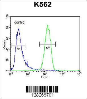 GAGE13 Antibody (N-term)