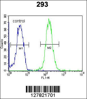 ZBTB10 Antibody (C-term)