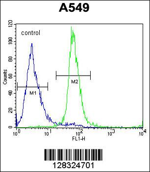 ZNF324B Antibody (C-term)