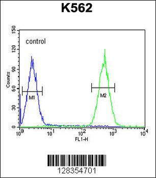 PURG Antibody (C-term)