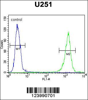GPAA1 Antibody (N-term)