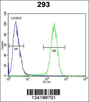 TMEM66 Antibody (N-term)