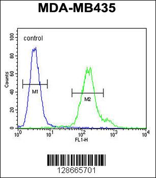 MTX2 Antibody (C-term)