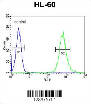 S35E2 Antibody (N-term)