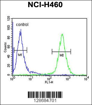 ACD10 Antibody (Center)