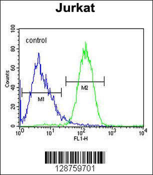SLFN12L Antibody (N-term)