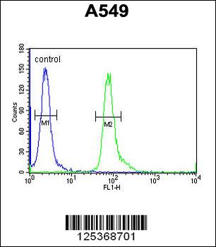 CT112 Antibody (Center)