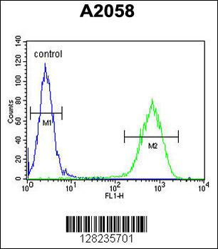 ERMARD Antibody (Center)