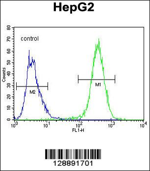 UBFD1 Antibody (N-term)