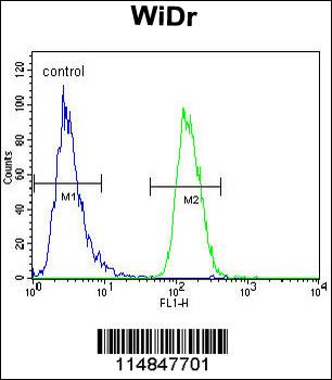 NARS Antibody (N-term)