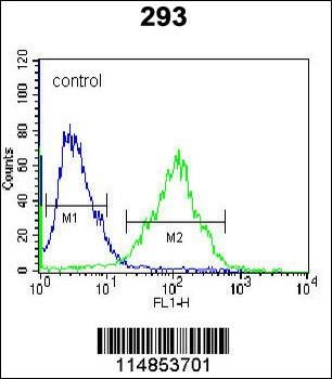 PARS2 Antibody (C-term)