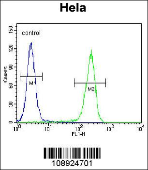 CRFR2D Antibody