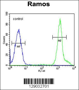 NIPAL1 Antibody (C-term)