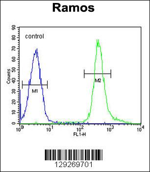 PNLDC1 Antibody (C-term)