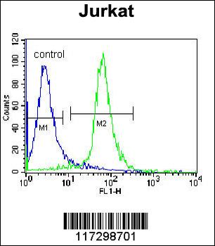 RBM14 Antibody (C-term)