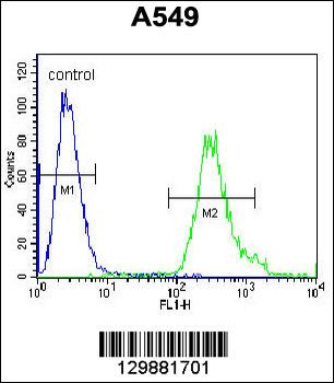 ANKRD58 Antibody (C-term)