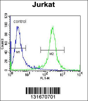 PDE3B Antibody (Center)